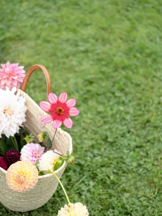 Zwart, Raisa: Colorful Flowers In A Basket
