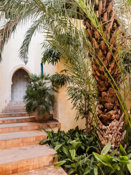 Photolovers: Palme und Keramik in Marokko