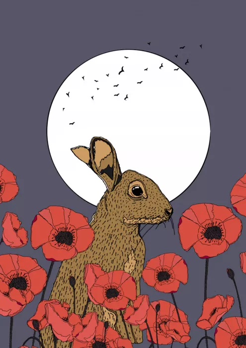 Nicholas: Lapin entouré de coquelicots vibrants