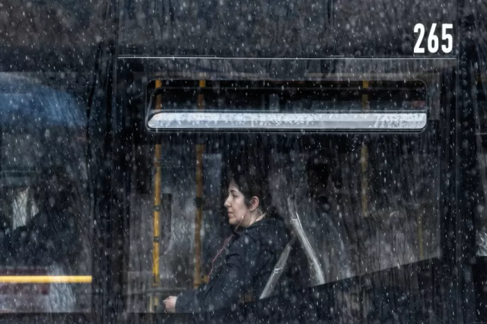 Melis, Maria Alberto: Windows on the rain 84