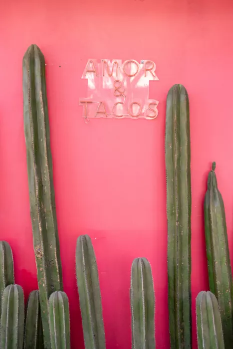Zwart, Raisa: Muro rosa vibrante con alti cactus verdi