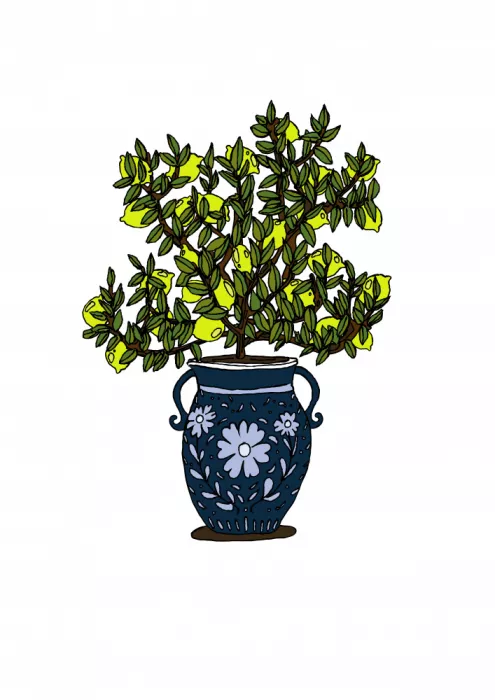 Nicholas: Lemon Tree with Decorative Vase