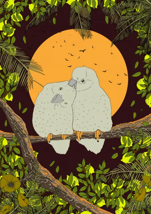 Nicholas: Love Birds Whispers of the Jungle Night