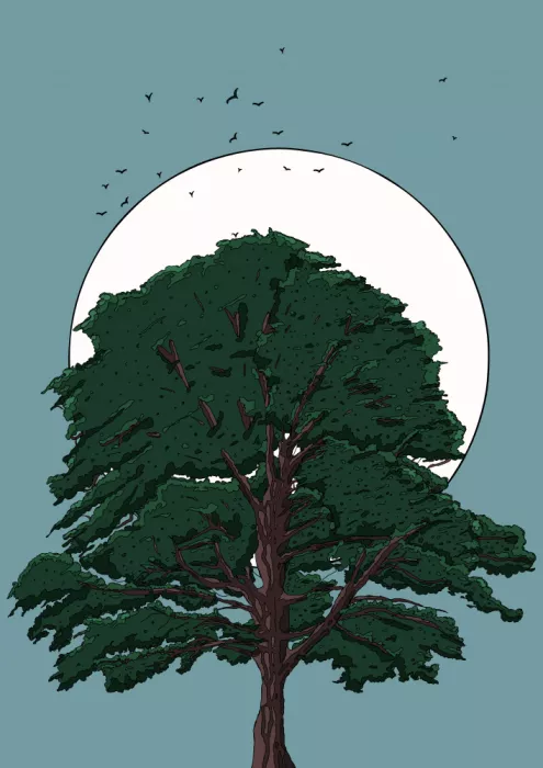 Nicholas: Arbre et Lune