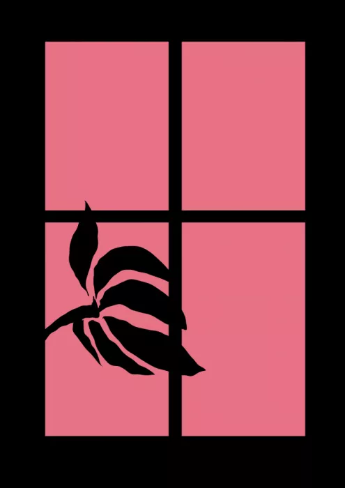 Nicholas: Plante à la fenêtre