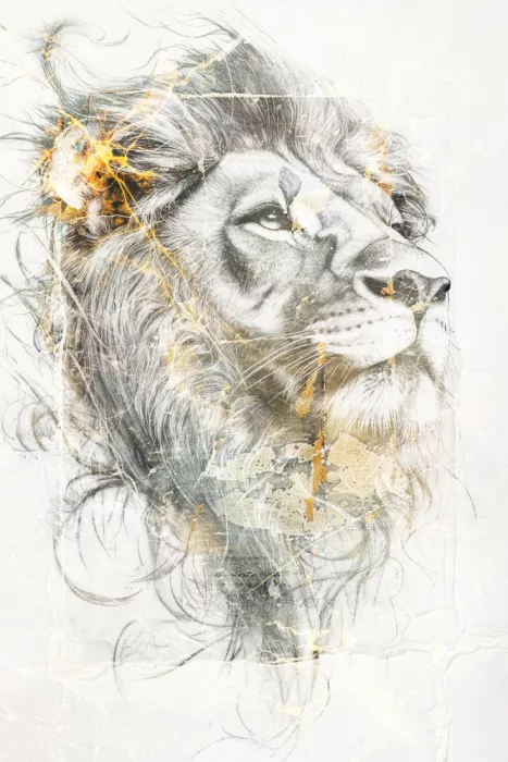 Kulik, Rafal: Illustration d