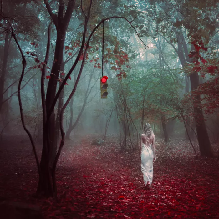 Dudoniene, Ablonskyte Ruta: Red