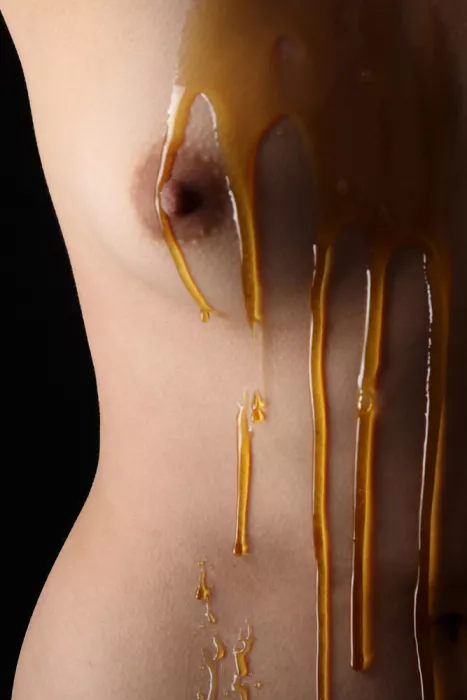 McCracken, David: In the Land of Milk and Honey