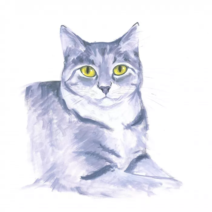 Brent, Isabelle: Chat observateur