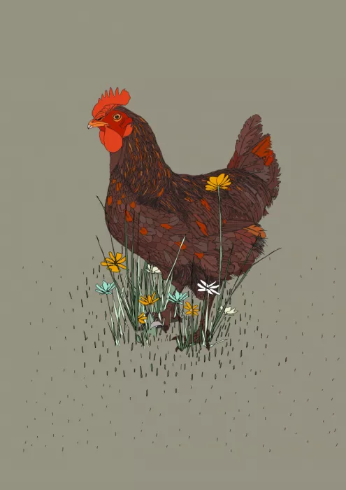 Nicholas: Rooster in the Meadow
