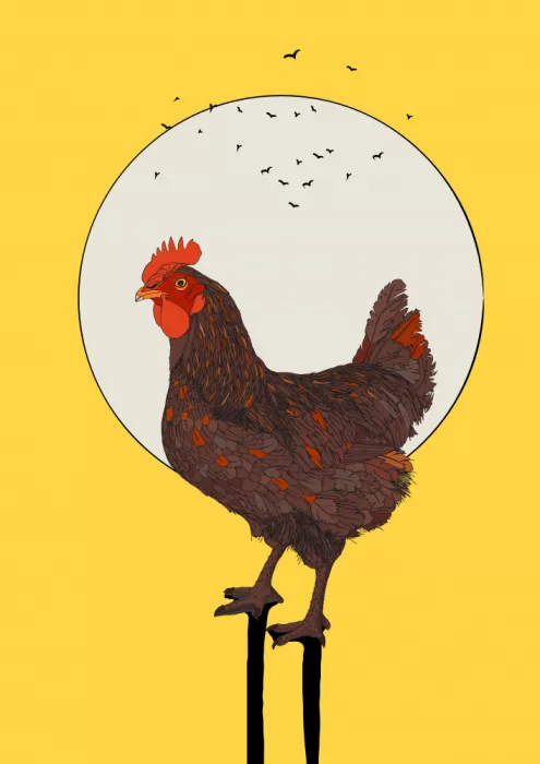 Nicholas: Lever de soleil au coq