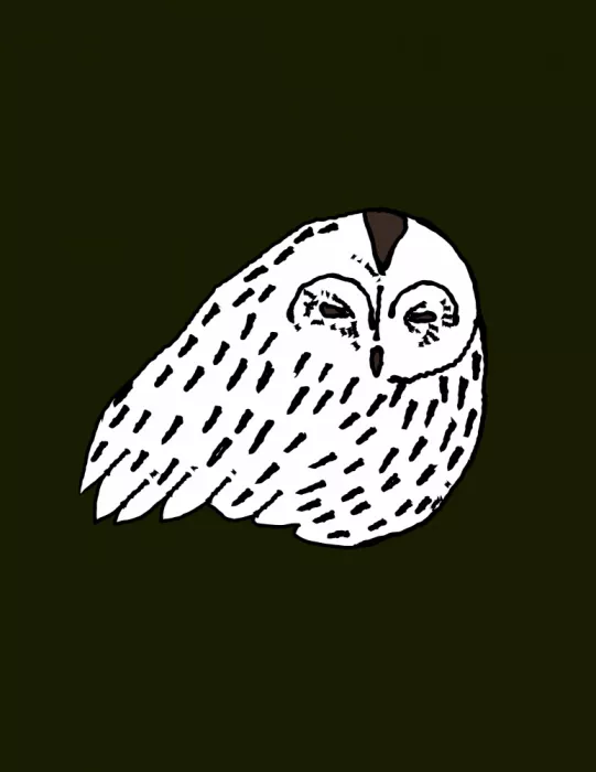 Nicholas: Owl