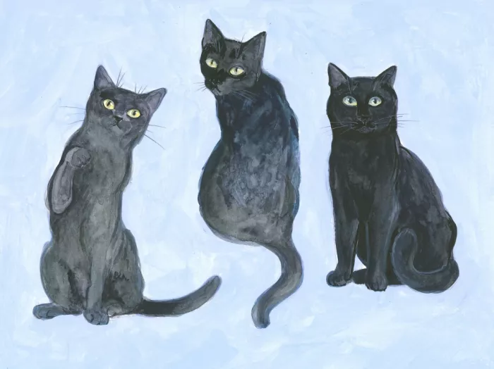 Brent, Isabelle: Estudio de tres gatos