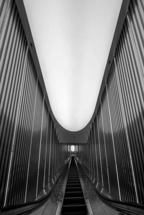 Feng, Calvin: The escalator