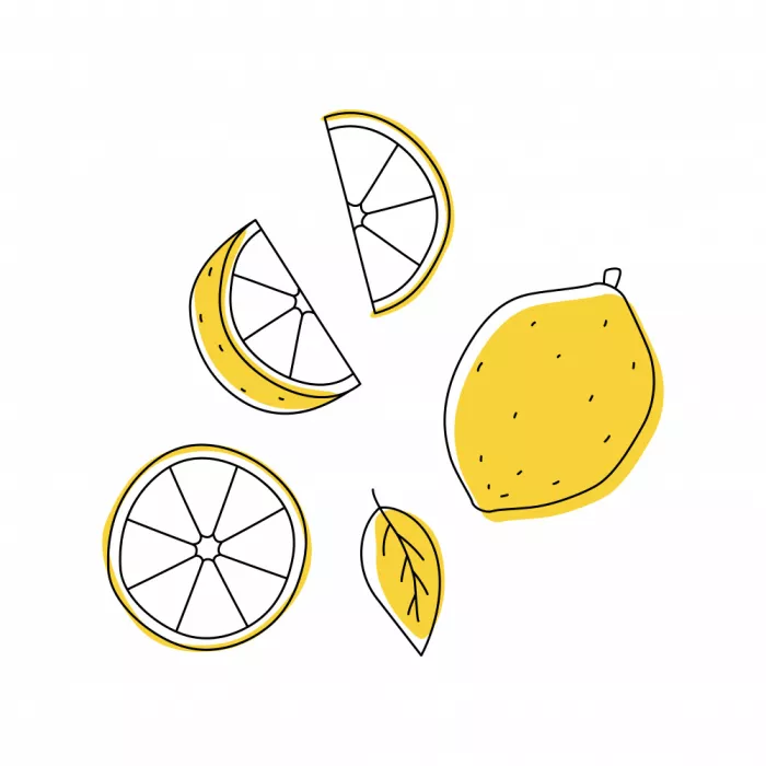 Chistiakova, Kristina: Tranches de citron jaune stylisées