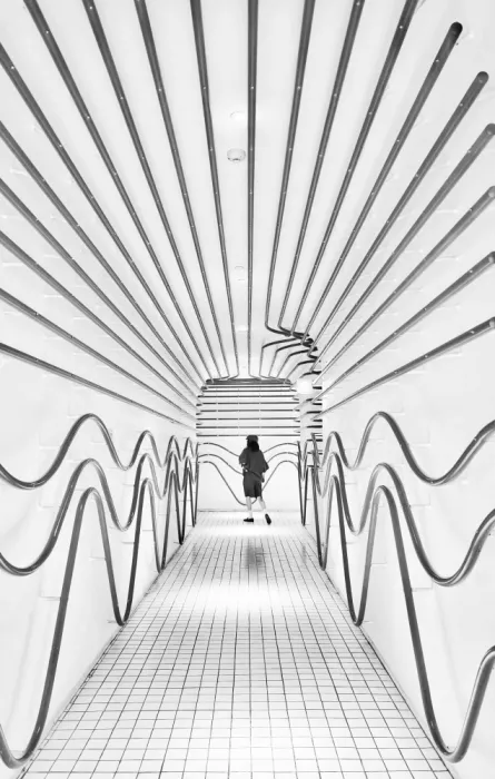 Zhao, Emma: Dans le tunnel de lumière