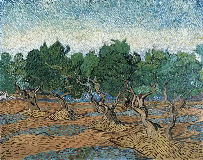 Gogh, Vincent van: Olive trees