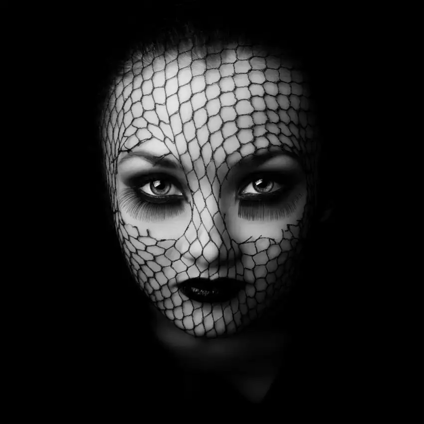 Hayman, Oren: Noir