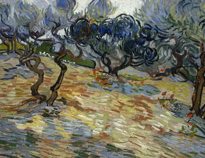 Gogh, Vincent van: Olive trees