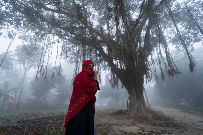 Arifuzzaman, Md.: The mystic woman.