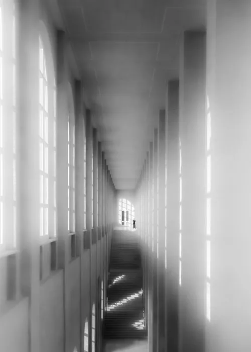 Dauer, Andy: opposite