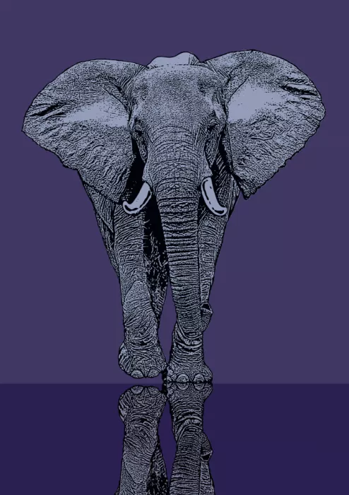 Kaminski, Carlo: Majestätischer Elefant