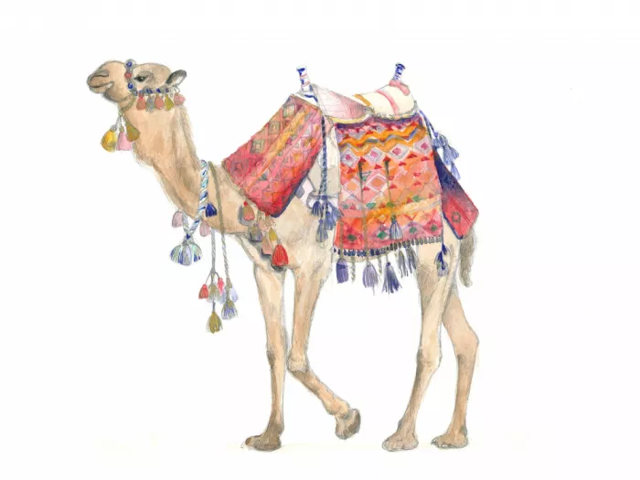 Brent, Isabelle: Elegancia del Desierto