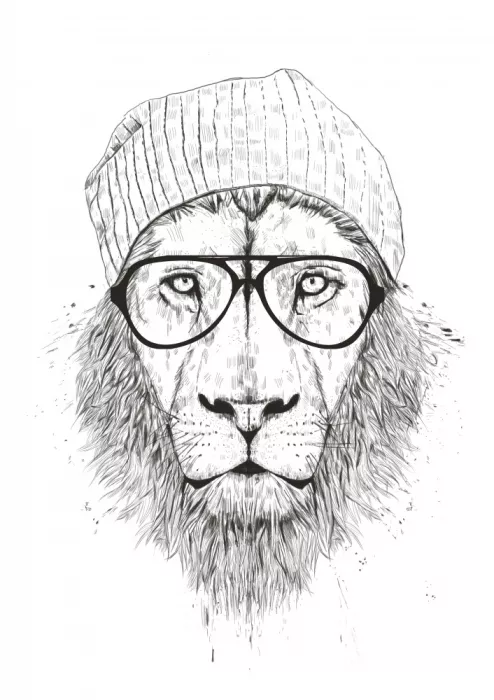 Solti, Balazs: Cool Lion Bw