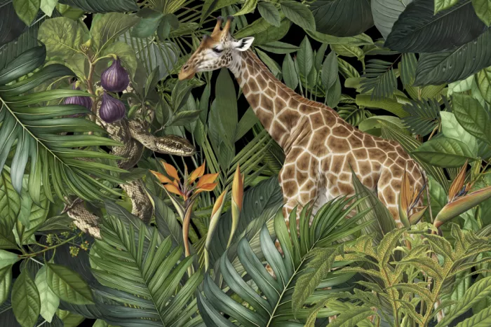 Haase, Andrea: Girafe et Serpent