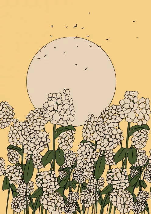 Nicholas: Fleur d