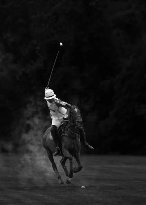 meix: Polo game