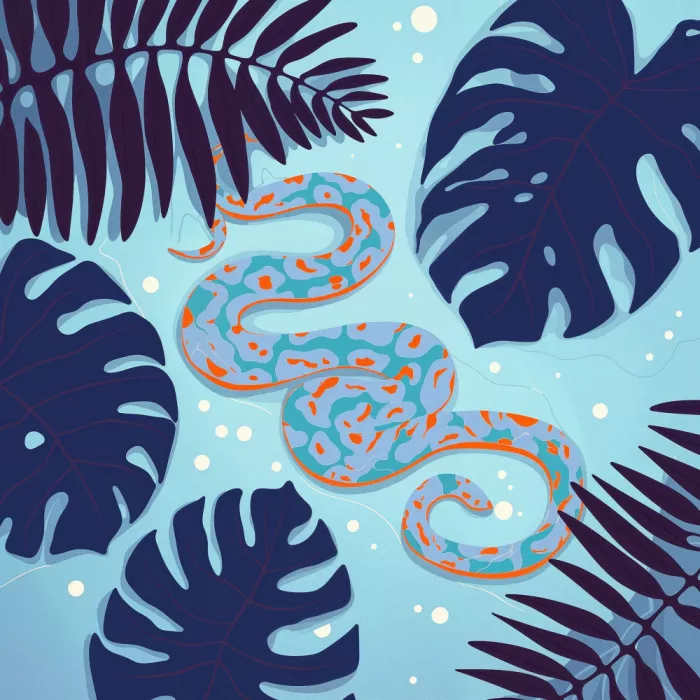 Tunaboylu, Emel: Susurros de la jungla