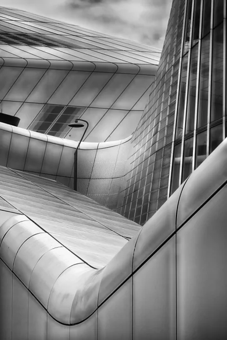 Bolla, Paolo: Curves b&w version