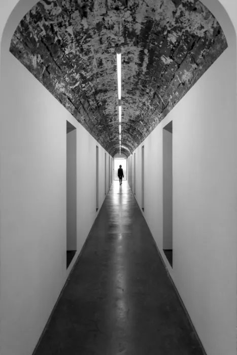 Silveira, Fernando: Parallel lines meet at infinity