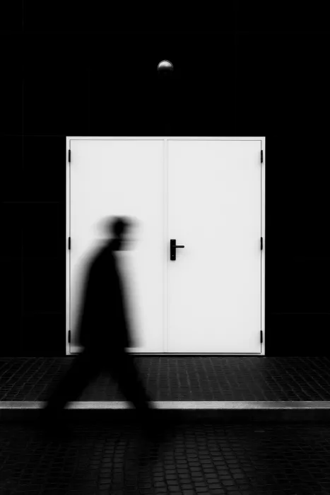 Medeiros, Paulo: n/t
