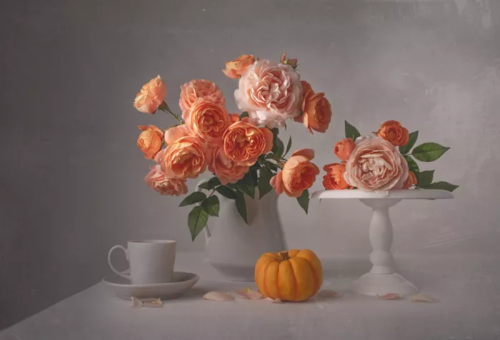 Perfoncio, Margareth: Symfonie barev