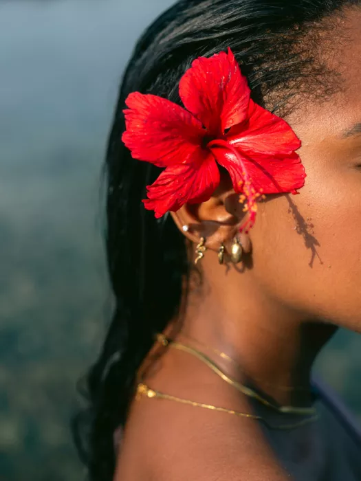 Zwart, Raisa: Hibiskus Gelassenheit