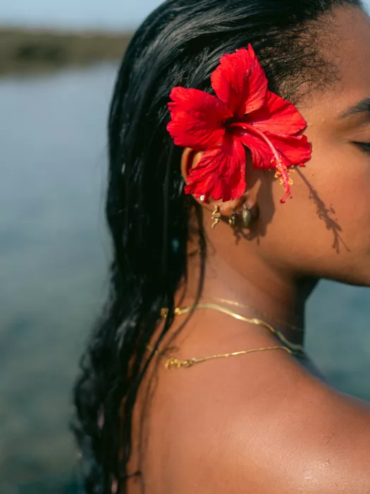 Zwart, Raisa: Hibiskus-Gelassenheit