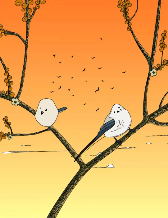 Nicholas: Perchoir au coucher de soleil