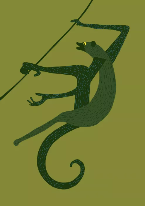 Nicholas: Acrobaties de la jungle
