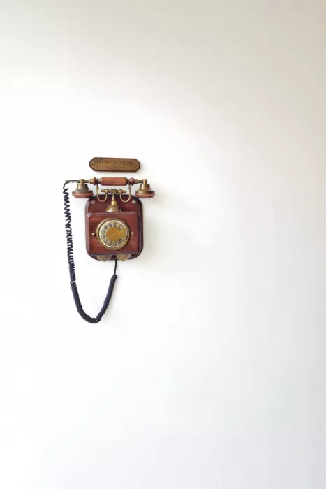 Markovic, Branko: THE HOUSE PHONE