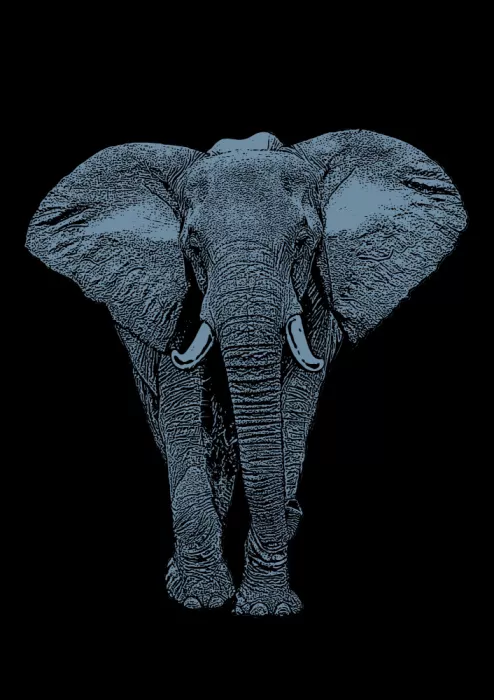 Kaminski, Carlo: Majestätischer Elefant