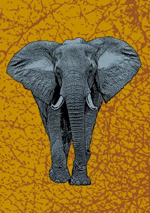 Kaminski, Carlo: Majestätischer Elefant