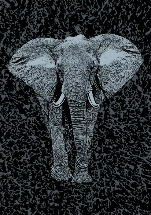 Kaminski, Carlo: Majestätischer Elefant