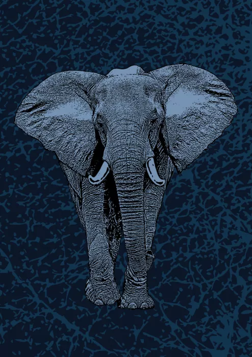 Kaminski, Carlo: Majestätischer Elefant