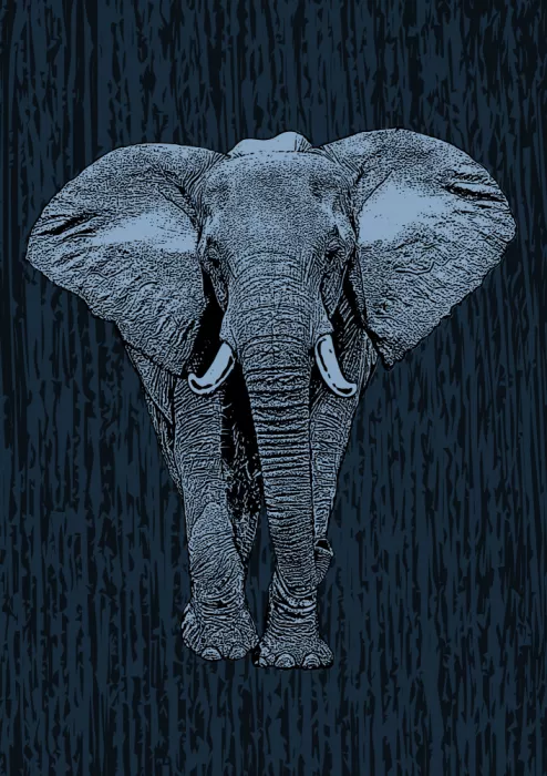 Kaminski, Carlo: Majestätischer Elefant