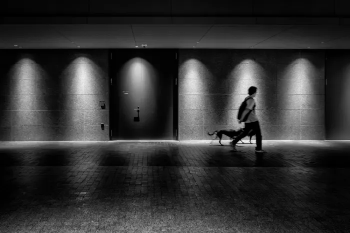 Sakamoto, Haruyo: A Walk in the Light