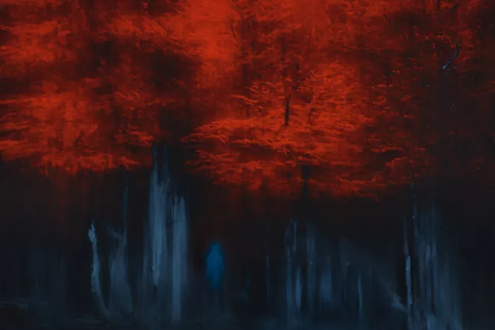 Jacobs, Lydia: Lost in autumn