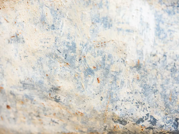 Zwart, Raisa: Blu e Beige II