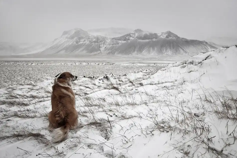 Ingibergsson, Bragi: Tempesta di neve